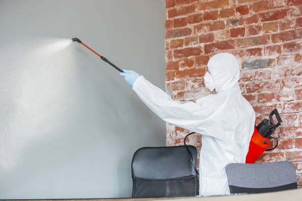 Best Environmental Consulting for Mold Prevention  in Yankton, SD