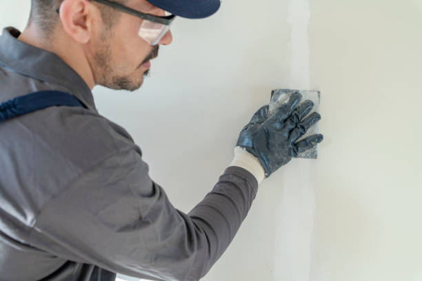 Best Mold Removal for HVAC Installations  in Yankton, SD