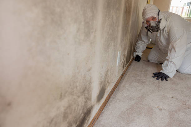 Best Asbestos and Lead Testing During Mold Inspection  in Yankton, SD