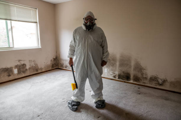 Best Mold Removal for HVAC Installations  in Yankton, SD