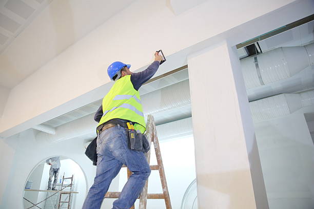 Best Real Estate Mold Inspection  in Yankton, SD
