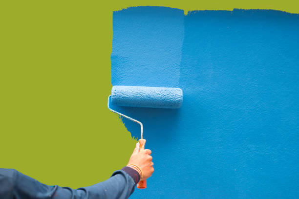 Professional Mold Removal in Yankton, SD
